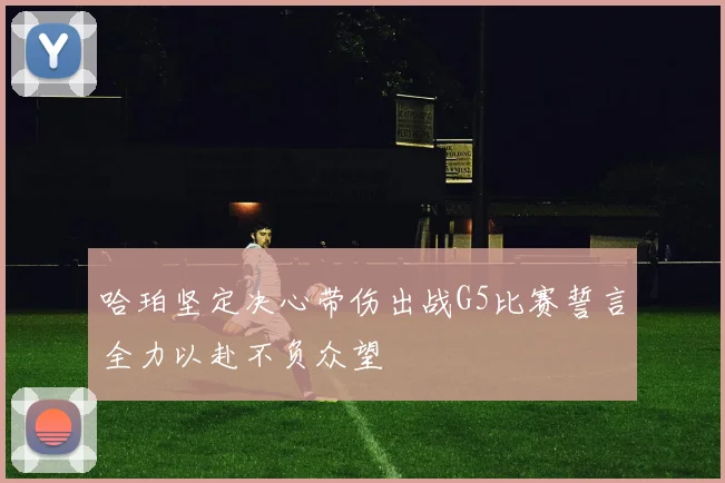 哈珀坚定决心带伤出战G5比赛誓言全力以赴不负众望