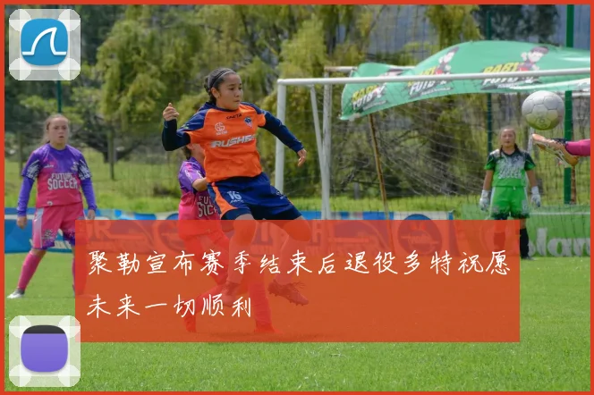 聚勒宣布赛季结束后退役多特祝愿未来一切顺利